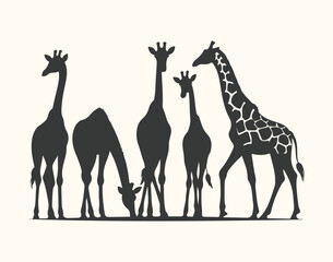 Naklejka premium Vector art of a group of five giraffes in silhouette, some grazing, isolated on a light background