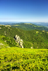 Beautiful summer landscape in the mountain