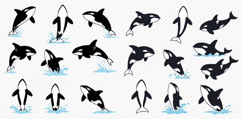A collection of cartoon orca illustrations depicting killer whales jumping, breaching, and swimming in various dynamic poses with water splashes.