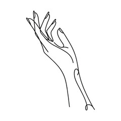 Fototapeta premium Elegant minimalist line drawing of a delicate hand reaching upwards
