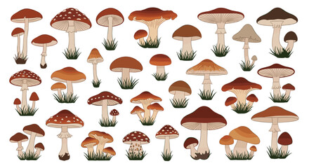Variety of vibrant, detailed mushrooms growing in grass, perfect for nature designs and fall themes