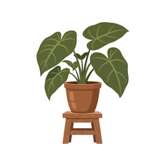 Potted tropical plant with large leaves on a wooden stool illustration vector