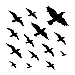 Seamless Pattern of Flying Birds Silhouette on White Background