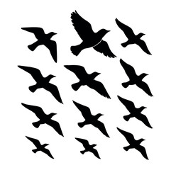 Seamless Pattern of Flying Birds Silhouette on White Background