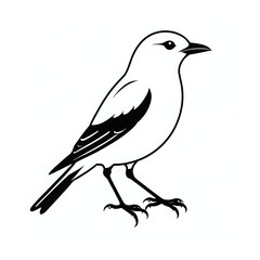 Elegant black and white bird silhouette poised for flight against a clean backdrop