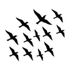Seamless Pattern of Flying Birds Silhouette on White Background