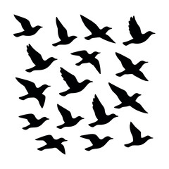 Seamless Pattern of Flying Birds Silhouette on White Background