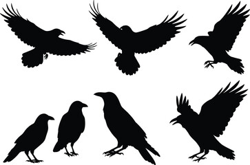 Flying and Perched Raven Silhouettes Vector Set: A Dark and Mysterious Bird Collection for Halloween and Nature Designs.