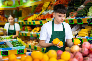 Hardworking young salesman working in a vegetable store puts fresh oranges on the counter for sale