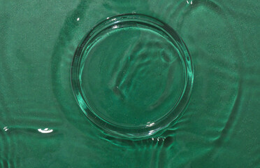 Glass round petri dish on green background with water waves. Cosmetic beauty concept