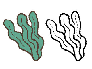 手描きのわかめ