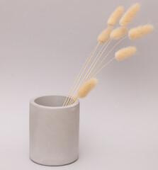 Concrete vase with dry grass on gray background