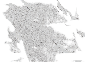 Light gray, textured, irregular landform, possibly a geological map or 3D model