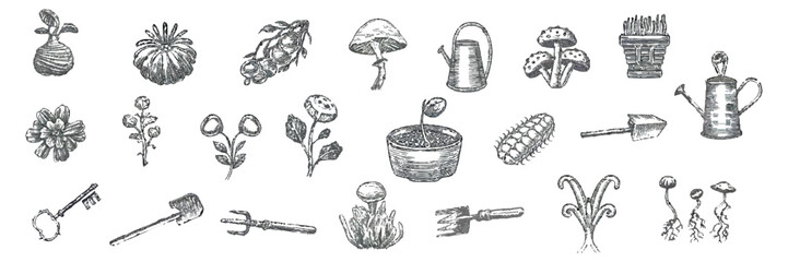 Hand drawn vintage engraving gardening tools icon illustration vector