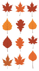 Autumn tree leaves vibrant colors seasonal foliage collection