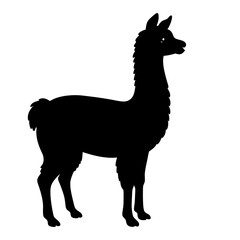 Black silhouette of a llama in a minimalist illustration © Nataliya Timofeeva