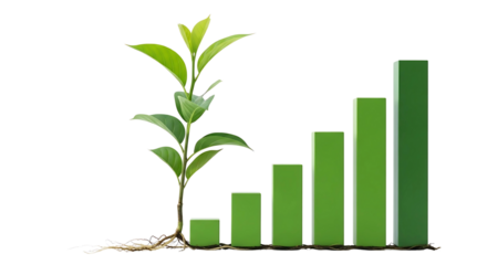 green plant growing on a graph