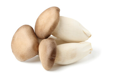 Eringi mushroom or King Oyster mushroom. isolated on white background.