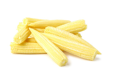 Young sweet corn  piled together reveals its freshness. isolated on white background.
