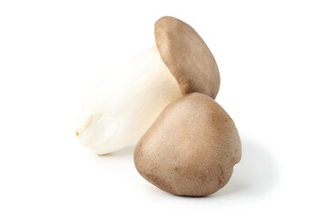 Eringi mushroom or King Oyster mushroom. isolated on white background.