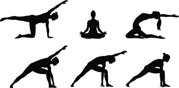 Yoga Silhouette Vector of Women in Meditation and Dynamic Stretching Poses for Fitness, Flexibility, Strength, Balance, and Wellness