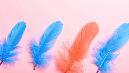 Obraz premium Four vibrant feathers, two light blue, two coral, arranged in a row on a soft pink background