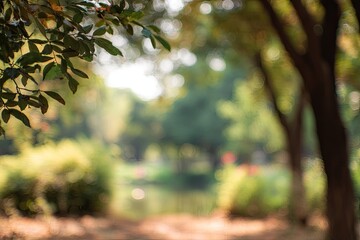 Blurred park scene with sunlight