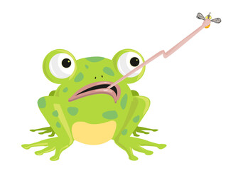 Funny Looking Frog captures an Insect using its long tongue. 