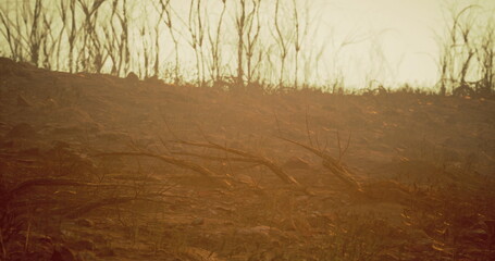 Charred earth and bare trees highlight the landscape after a wildfire. The twilight light casts an eerie glow, emphasizing the devastation left behind in this remote area.