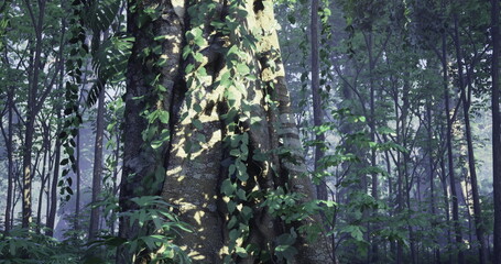 Sunlight breaks through the lush canopy, casting gentle rays on the massive trunk of an old tree surrounded by vibrant foliage in a serene forest.