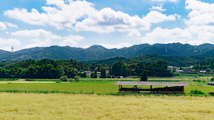 Summer Sky and Green Rice Fields in Rural Japan
