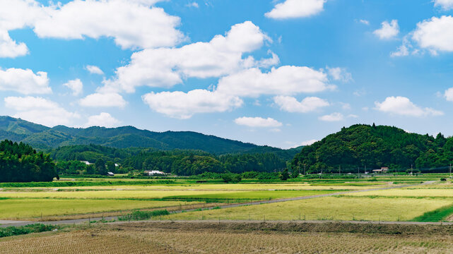 日本の田舎