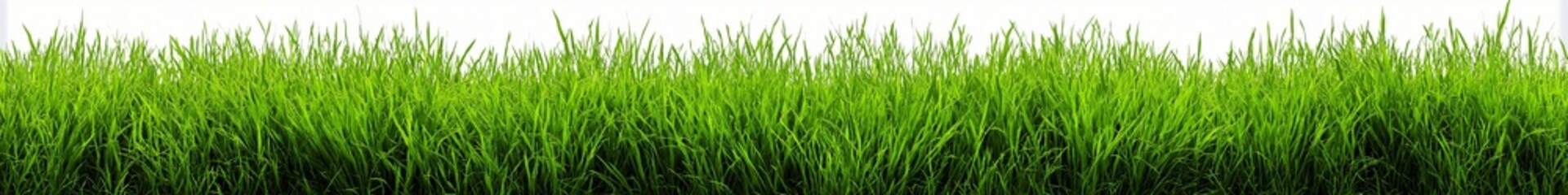 Obraz premium Vibrant Fresh Green Grass: Spring Nature Meets Floral Background in a Sunny Meadow of Lush Lawn Atmosphere and Garden Scenery