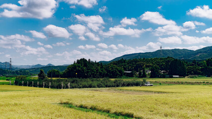 Summer Sky and Green Rice Fields in Japan