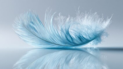 Light blue feather, gently curved, reflecting on a smooth surface