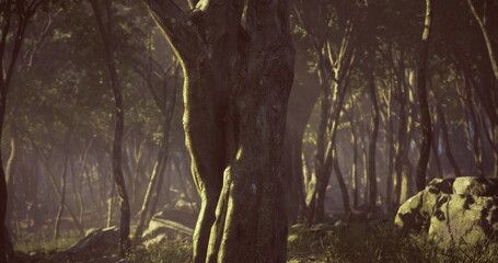 A surreal figure stands against a textured tree trunk in a dense forest. The warm light of dusk casts intriguing shadows among the trees, enhancing the mystical atmosphere of the scene.