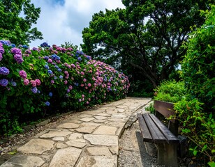 Lush hydrangea garden path
