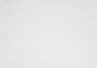 Fototapeta premium white canvas background texture