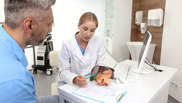 Treatment liver diseases in medicine. Liver anatomical model on doctor's table during hepatologist consultation for patient with side pain in background