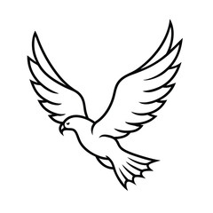 Flying eagle with wings spread outline drawing