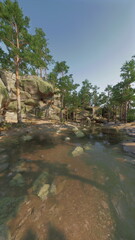 A river courses through a dense forest, littered with rocks of various sizes, creating a rugged and dynamic landscape.