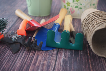 Fototapeta premium Gardening tools on wood with plants