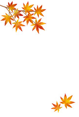 紅葉の背景〈ハガキ〉　D-1