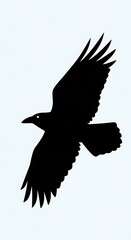Obraz premium A bold silhouette of a bird in flight against a simple background.