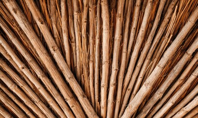Close-up view of dried reeds or stalks