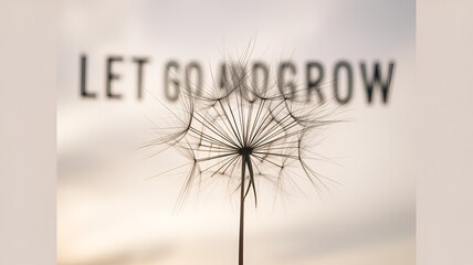 Dandelion seed head with motivational message let go and grow in background