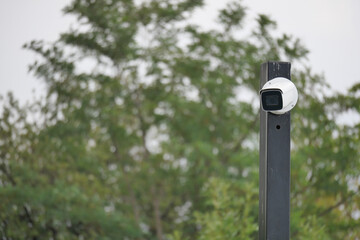 Security camera monitoring surroundings in a green area