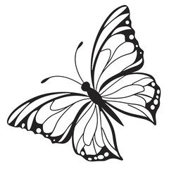 Elegant butterfly silhouette vector graphic simple black insect illustration scalable design