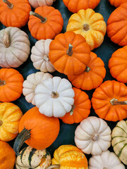 Top view of colorful assortment of pumpkins in shades of orange, white, and yellow, arranged closely together on a dark surface, showcasing their unique shapes and textures, perfect for autumn decor