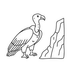 Obraz premium A vulture beside a rocky cliff
